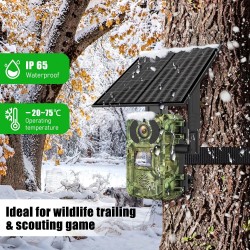 PRO 4G LOVSKA KAMERA, SOLARNO POLNJENJE, SLIKA V ŽIVO 24MP
