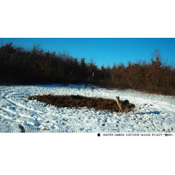 MMS LOVSKA KAMERA HC-810M 48MP, 4K, POŠLJE SLIKO NA VAŠ GSM